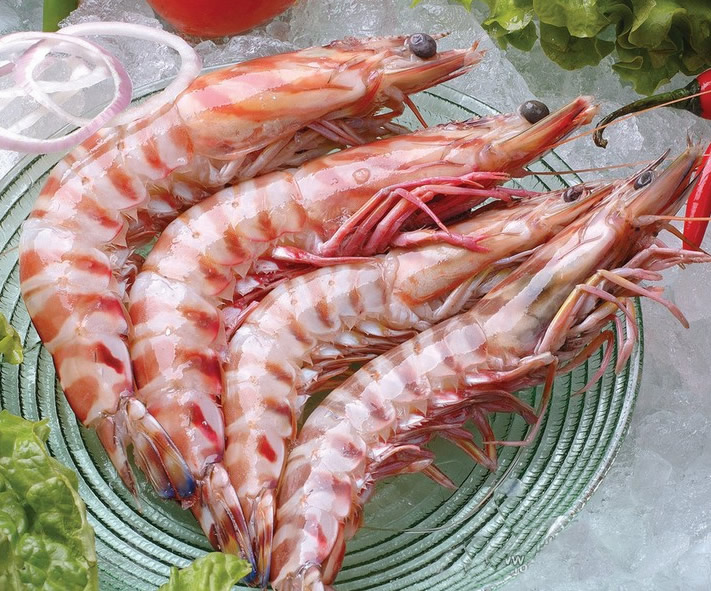 野生斑节虾8头 海鲜大礼包 绝对正宗超值 欢迎团购