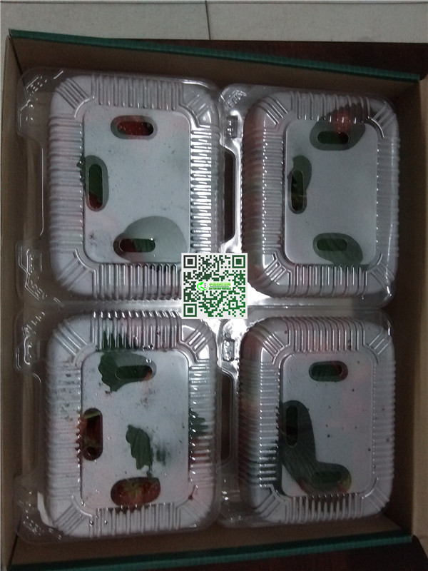 小汤山草莓采摘，（3斤装），北京五环内免费配送到家